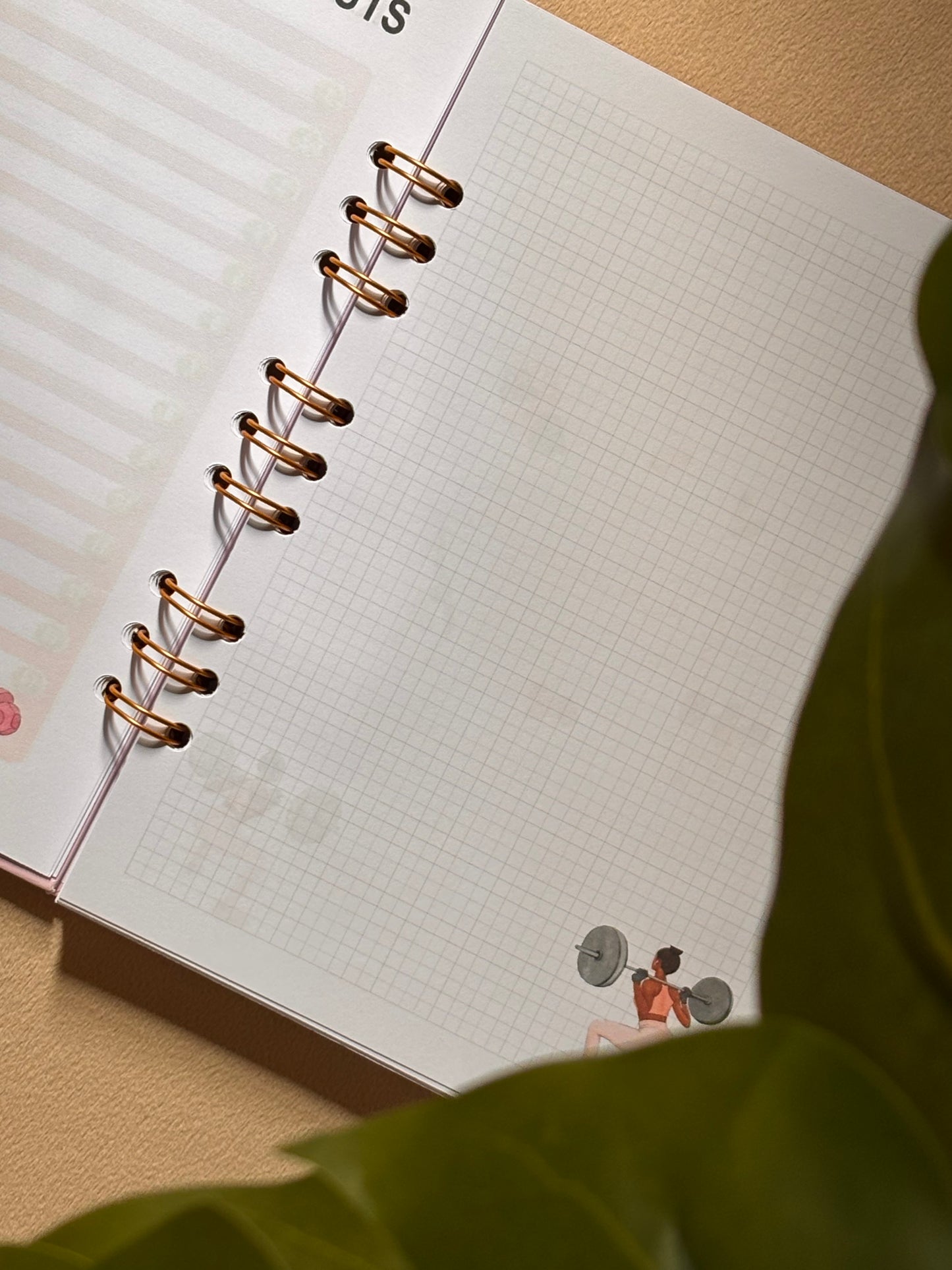Fitness Planner