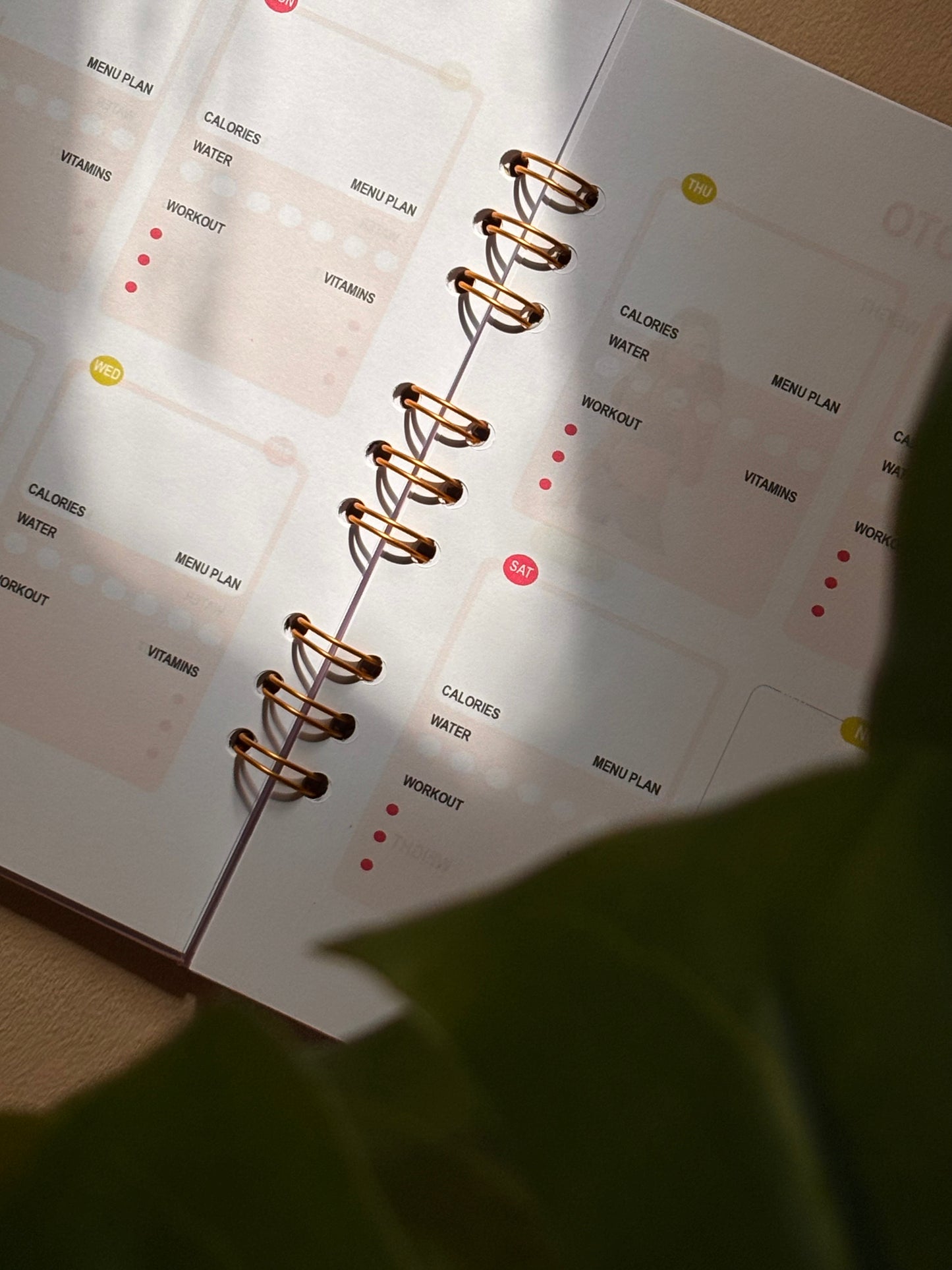 Fitness Planner